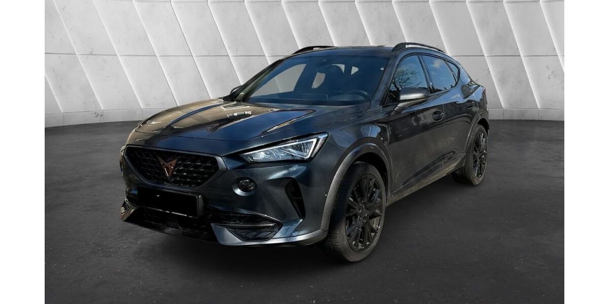 Cupra Formentor 38.000 km 29.900 &euro; Herten 45699