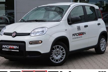 Fiat Panda 11.000 km 12.480 &euro; Herten 45701