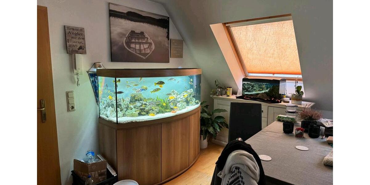 Maisonettenwohnung Bochum Bochum-Ost - 3 Zimmer, 85 m&sup2;, 750&euro; | Angebot:27569843