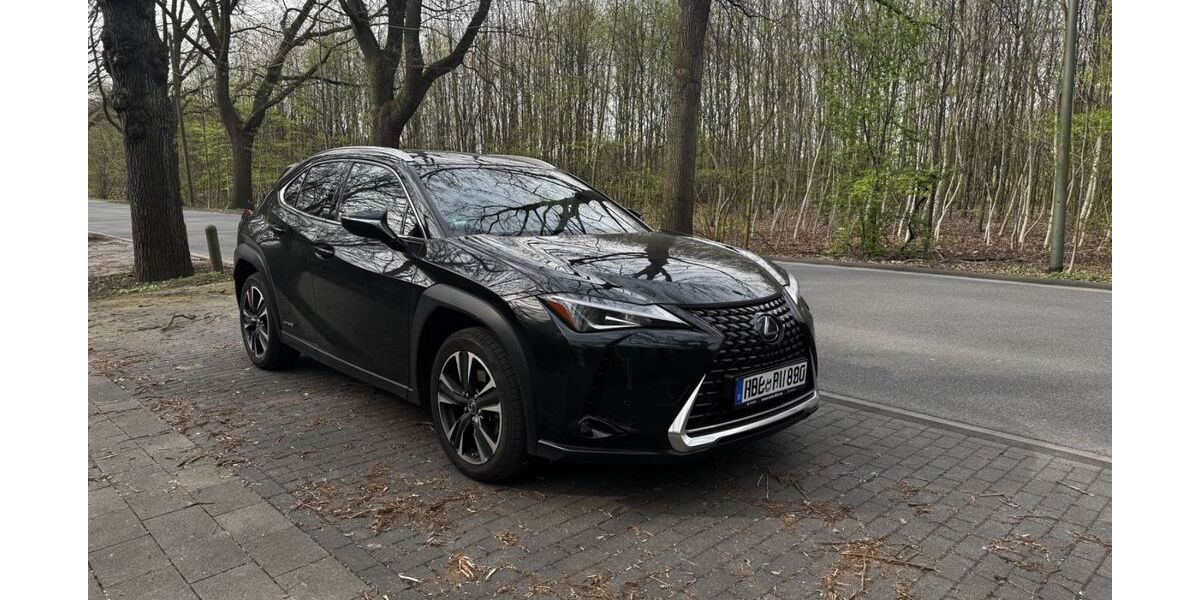 Lexus UX 88.000 km 21.500 &euro; Duisburg 47167