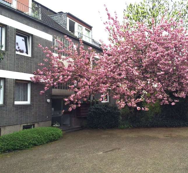 Etagenwohnung Duisburg Großenbaum - 3 Zimmer, 84 m&sup2;, 985&euro; | Angebot:27179270
