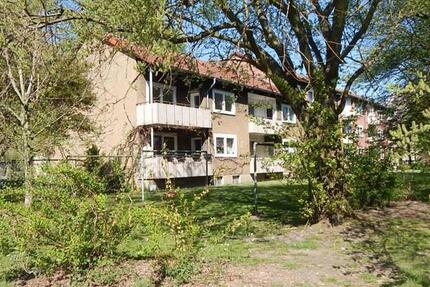 Wohnung Herten Bertlich - 3.5 Zimmer, 68 m&sup2;, 500&euro; | Angebot:24365113
