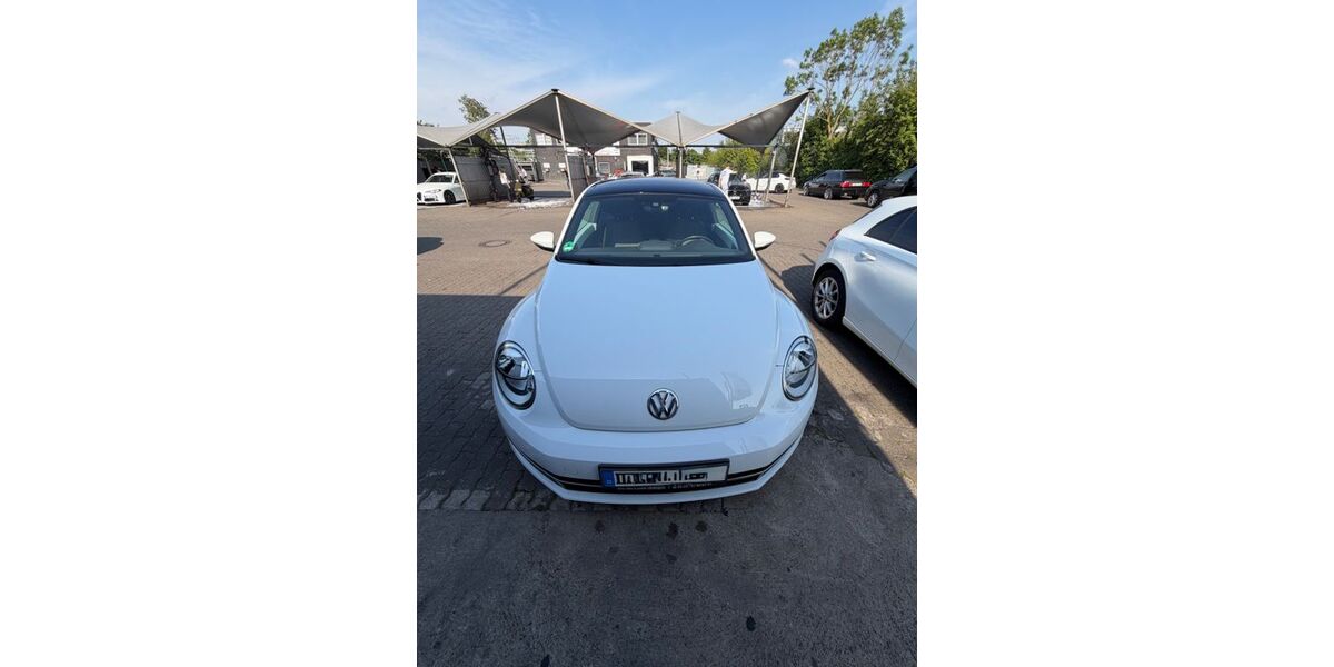 VW Beetle 155.000 km 10.990 &euro; Duisburg 47228