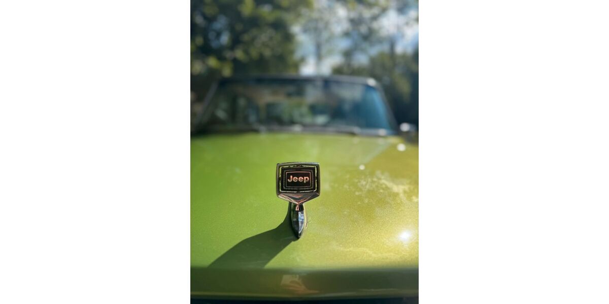 Jeep Wagoneer 93.849 km 21.500 &euro; Solingen 42659