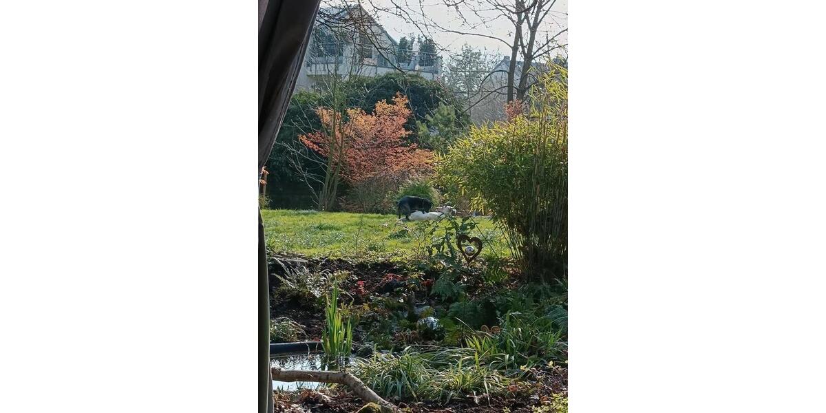 Dachgeschoßwohnung Wuppertal Gemarkung Langerfeld - 1.5 Zimmer, 30 m&sup2;, 325&euro; | Angebot:26003956