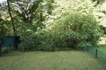 Hochparterre Duisburg Walsum - 3 Zimmer, 78 m&sup2;, 255.000&euro; | Angebot:27531551