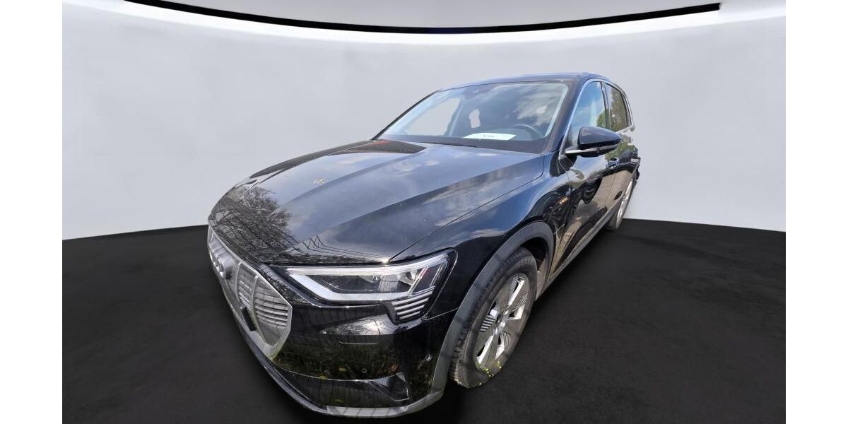Audi e-tron 47.512 km 32.950 &euro; Hagen 58091
