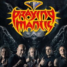 PRAYING MANTIS 17.11.2026 Pitcher