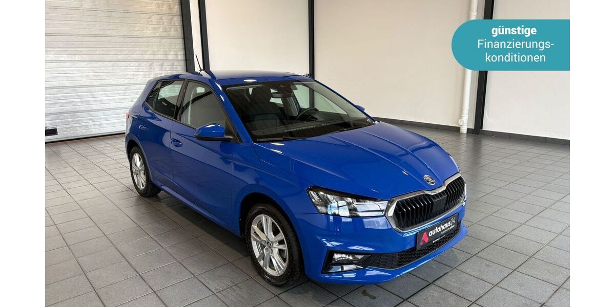 Skoda Fabia 36.105 km 21.890 &euro; Wuppertal 42287