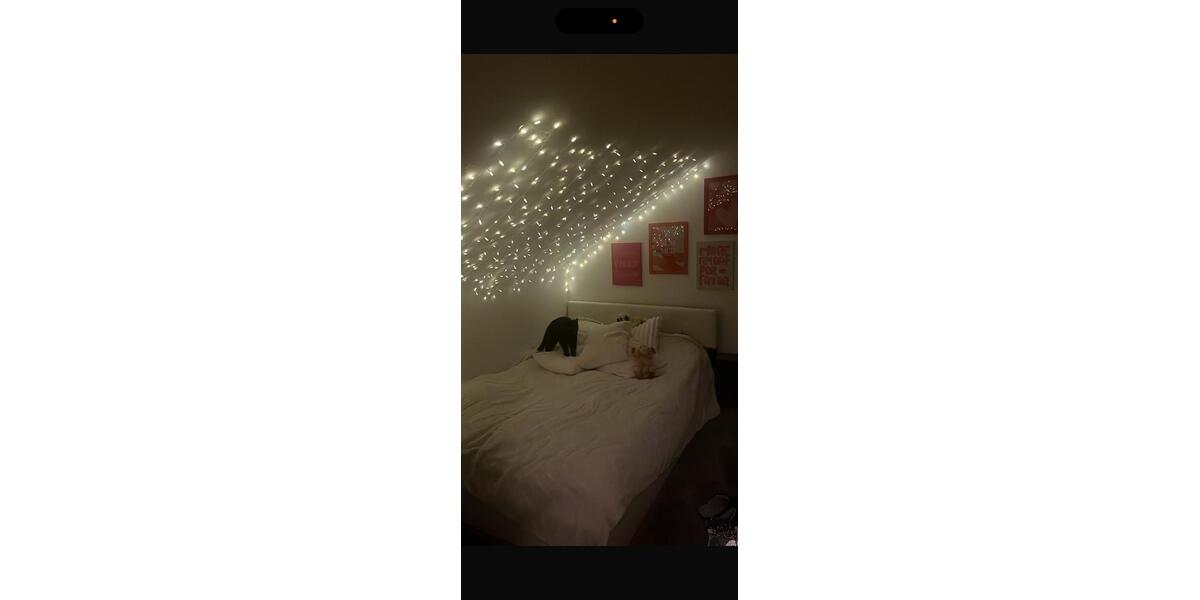 Dachgeschoßwohnung Hagen - 2 Zimmer, 45 m&sup2;, 320&euro; | Angebot:27544319