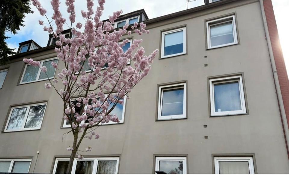 Erdgeschoßwohnung Gelsenkirchen Buer - 3.5 Zimmer, 69 m&sup2;, 390&euro; | Angebot:25999461