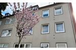 Erdgeschoßwohnung Gelsenkirchen Buer - 3.5 Zimmer, 69 m&sup2;, 390&euro; | Angebot:25999461