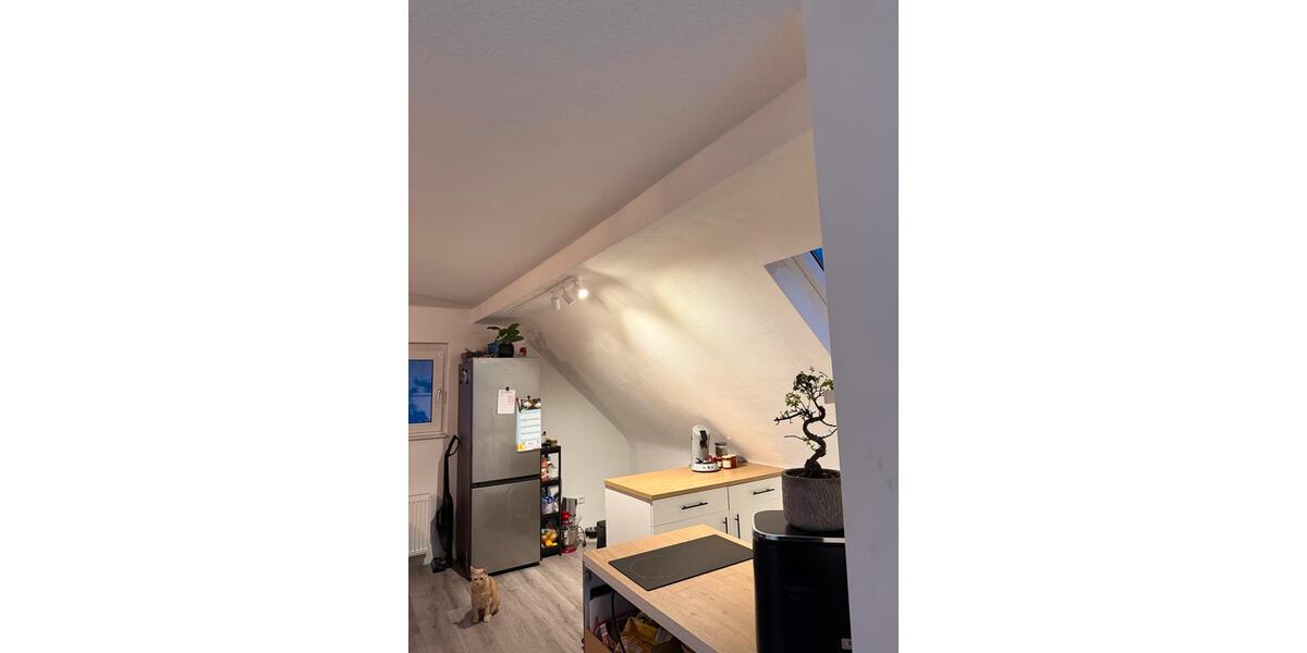 Dachgeschoßwohnung Duisburg Hochheide - 2 Zimmer, 40 m&sup2;, 532&euro; | Angebot:25753649