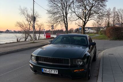 Ford Mustang 50.000 km 26.500 &euro; Benrath 40597