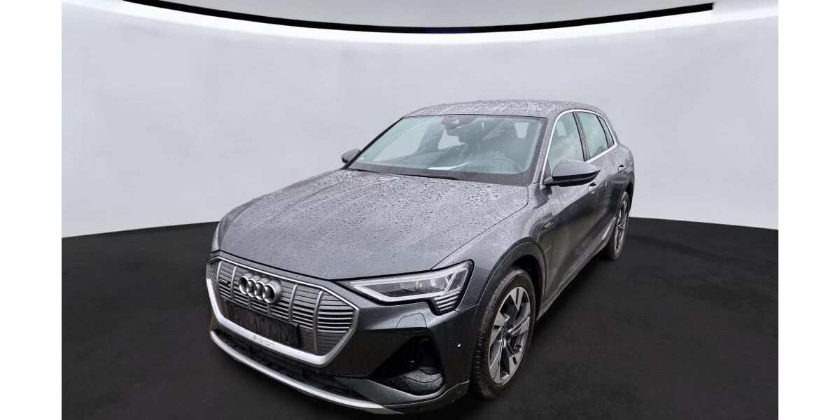 Audi e-tron 74.860 km 33.747 &euro; Hagen 58091