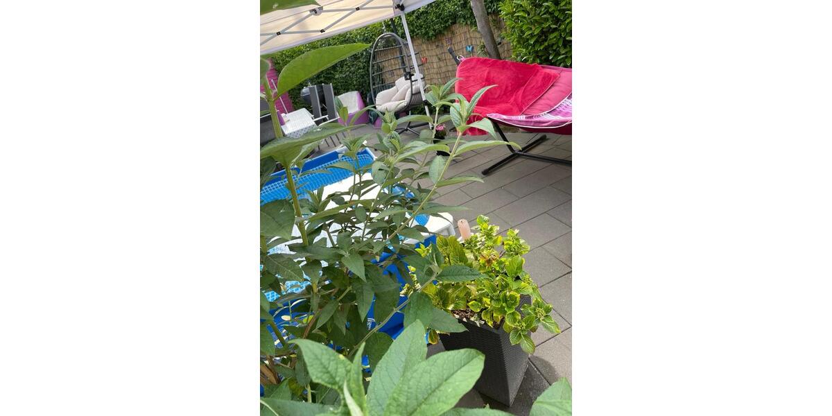 Reihenhaus Düsseldorf Stadtbezirk 10 - 3 Zimmer, 89 m&sup2;, 420.000&euro; | Angebot:26039237