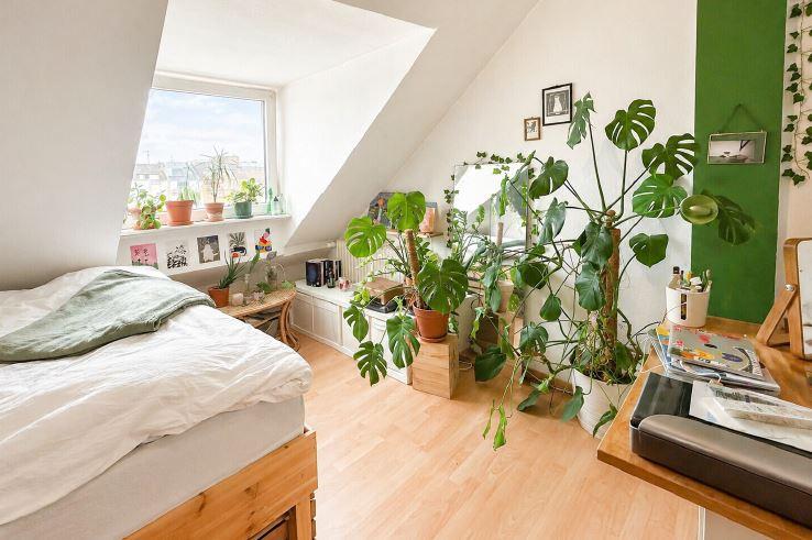 Etagenwohnung Düsseldorf Stadtbezirk 3 - 2 Zimmer, 44 m&sup2;, 229.000&euro; | Angebot:27442967