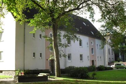 Wohnung Witten Annen - 2 Zimmer, 45 m&sup2;, 359&euro; | Angebot:25992872