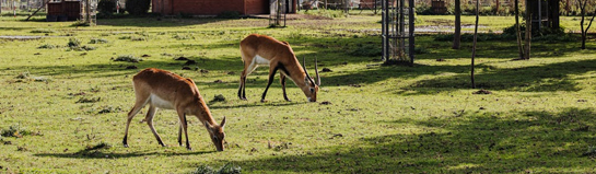 Freizeitpark Ketteler Hof Haltern am See Erlebnisbauernhof