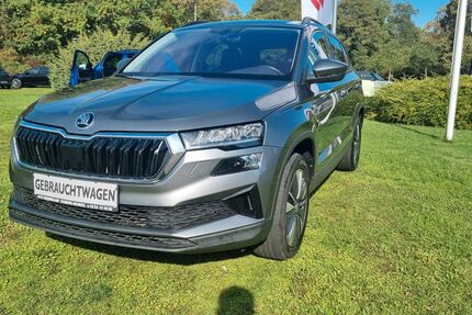 Skoda Karoq 126.500 km 18.950 &euro; Duisburg 47167