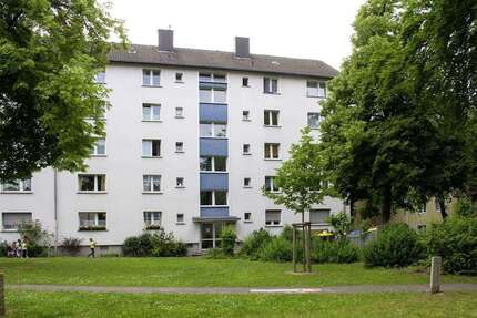 Wohnung Essen Altendorf - 2 Zimmer, 41 m&sup2;, 306&euro; | Angebot:26028496