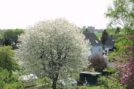 Wohnung Mülheim an der Ruhr Heißen - 2.5 Zimmer, 58 m&sup2;, 119.000&euro; | Angebot:25275692