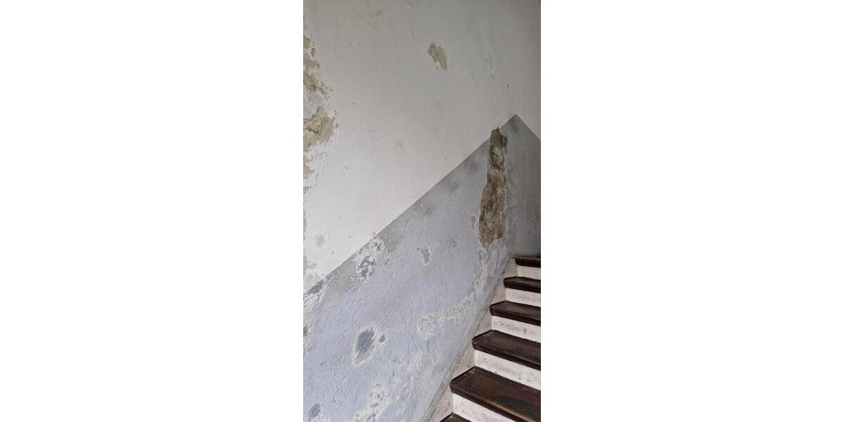 Mehrfamilienhaus, Wohnhaus Gladbeck Brauck - 12 Zimmer, 325 m&sup2;, 269.999&euro; | Angebot:26087905