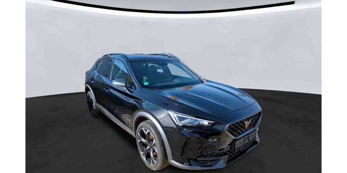 Cupra Formentor 14.018 km 27.680 &euro; Heiligenhaus 42579