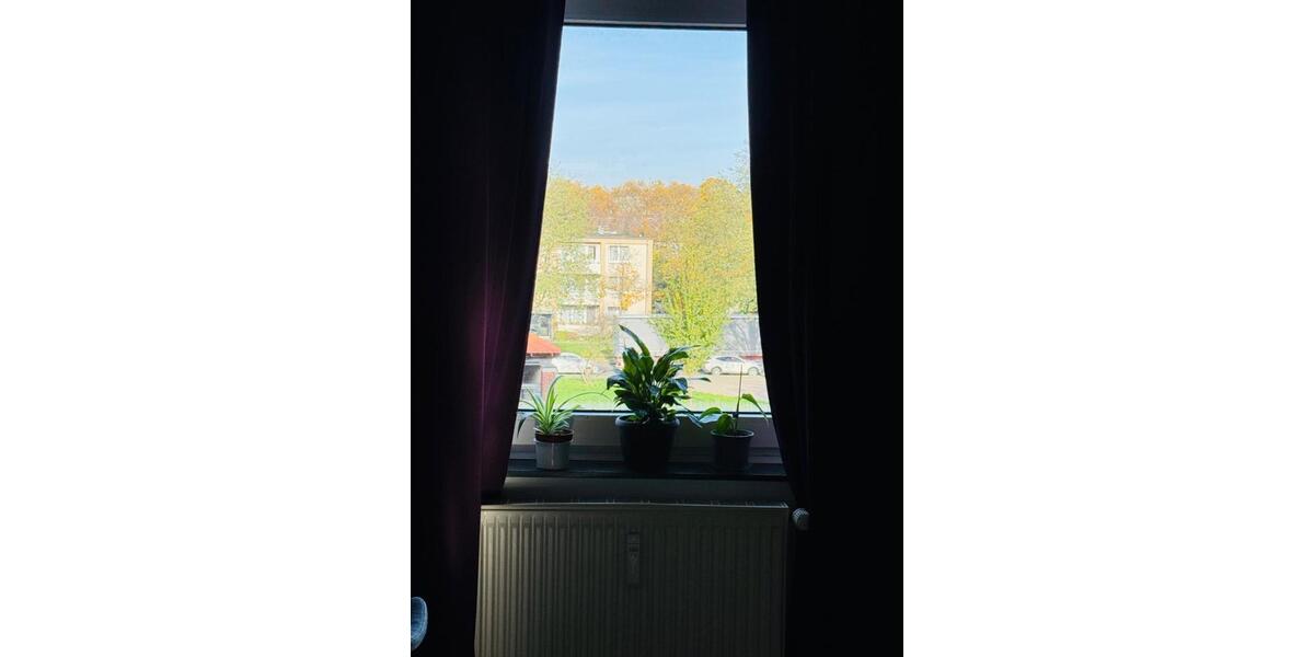 Etagenwohnung Wuppertal Elberfeld - 2 Zimmer, 66 m&sup2;, 980&euro; | Angebot:25930820