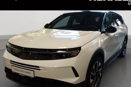 Opel Grandland (X) 10.990 km 34.590 &euro; Duisburg 47059