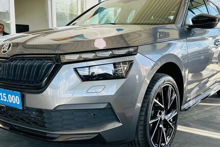 Skoda Kamiq 53.420 km 25.790 &euro; Wetter 58300