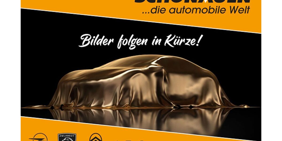 Opel Grandland (X) 21.520 km 24.890 &euro; Solingen 42697