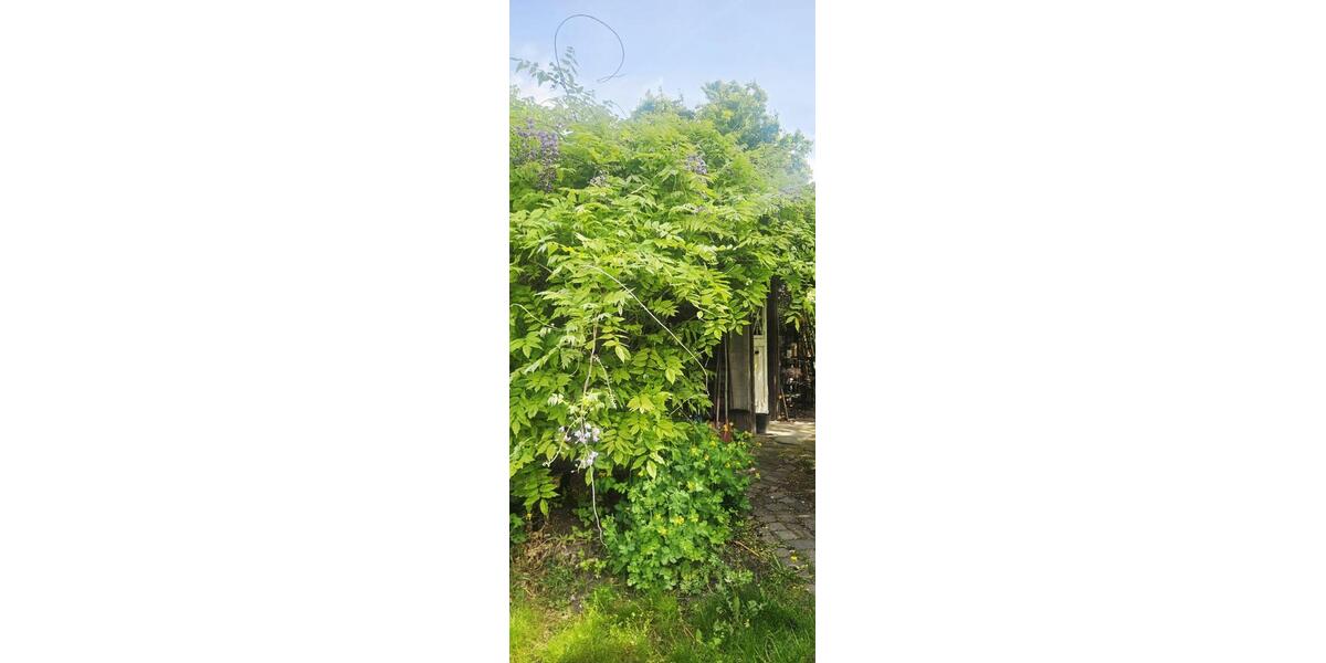 Doppelhaushälfte Duisburg Duisburg-Mitte - 5.5 Zimmer, 135 m&sup2;, 495.000&euro; | Angebot:27194389