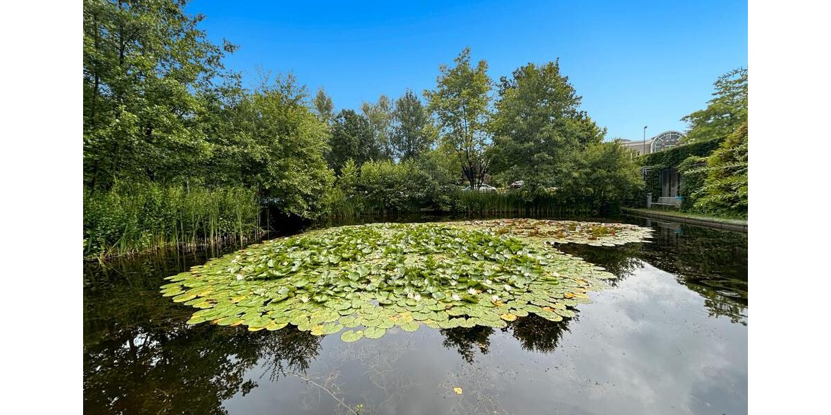 Gewerbeobjekt Essen Stadtbezirk II - 989&euro; | Angebot:22935381