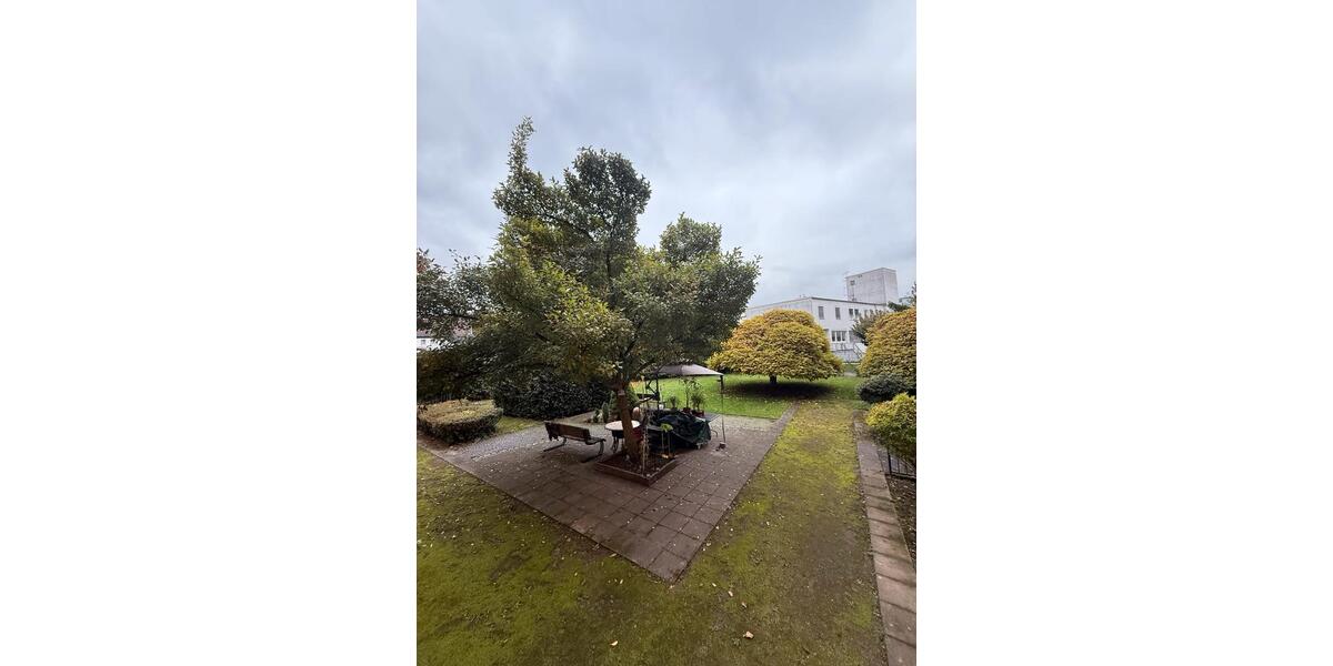 Erdgeschoßwohnung Hagen Hagen-Nord - 1 Zimmer, 42 m&sup2;, 390&euro; | Angebot:26415628