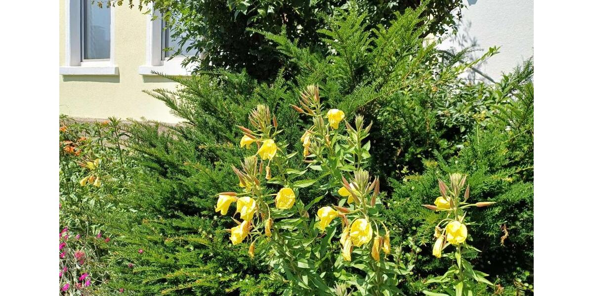 Etagenwohnung Witten Heven - 2.5 Zimmer, 57 m&sup2;, 595&euro; | Angebot:24705668