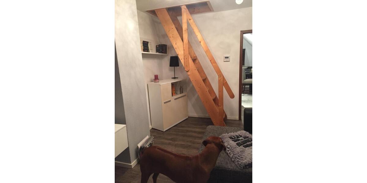 Dachgeschoßwohnung Bochum Bochum-Nord - 3 Zimmer, 70 m&sup2;, 600&euro; | Angebot:25965177