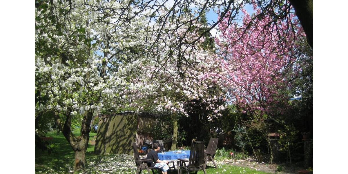 Dachgeschoßwohnung Gelsenkirchen Gelsenkirchen-West - 3 Zimmer, 67 m&sup2;, 600&euro; | Angebot:24846423