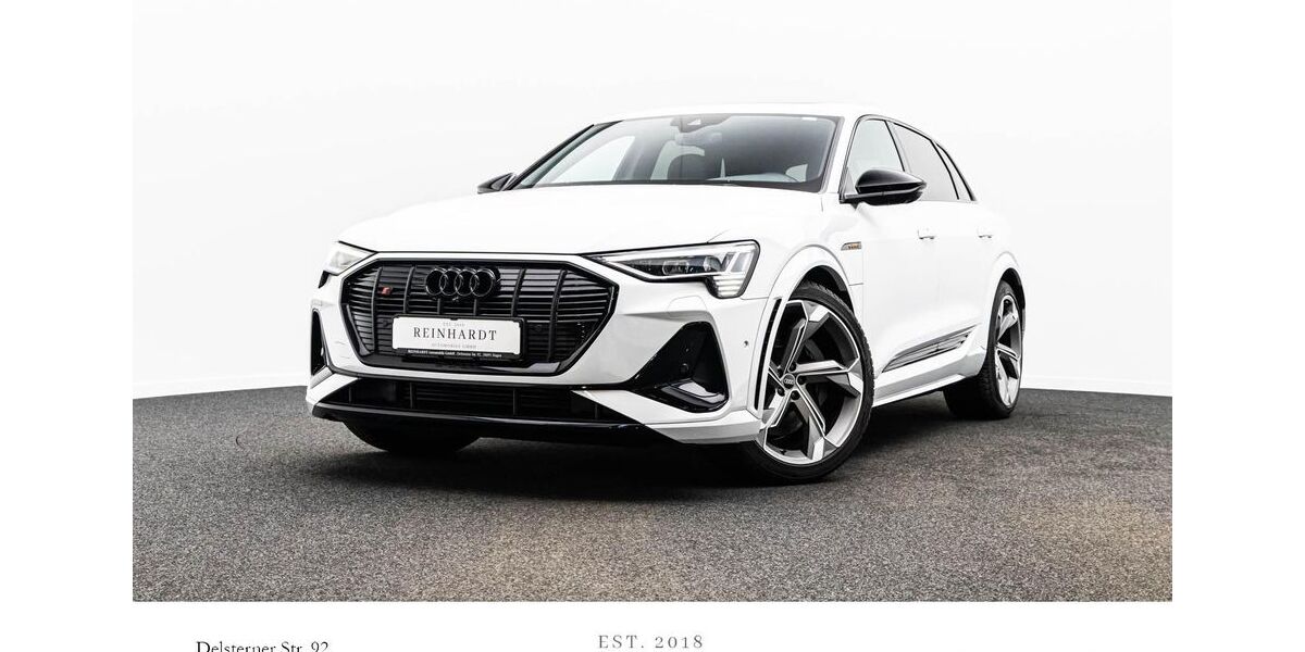 Audi e-tron 41.125 km 44.490 &euro; Hagen 58091