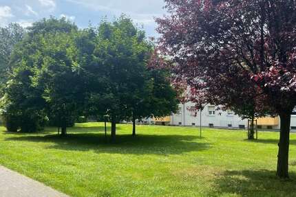 Wohnung Duisburg Mittelmeiderich - 3 Zimmer, 57 m&sup2;, 440&euro; | Angebot:25618510