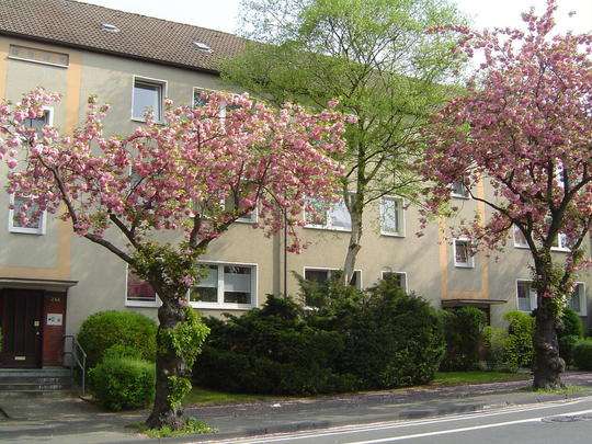 Etagenwohnung Mülheim a. d. Ruhr Broich - 3 Zimmer, 63 m&sup2;, 595&euro; | Angebot:27184830