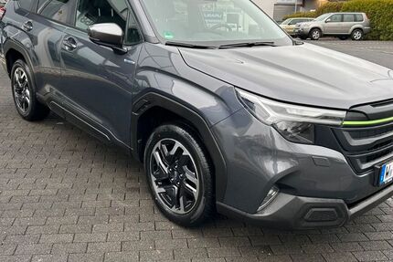 Subaru Forester 4.800 km 40.900 &euro; Wuppertal 42329
