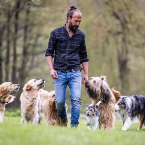 Sami El Ayachi - Der zugewandte Hund! 19.02.2027 Bora