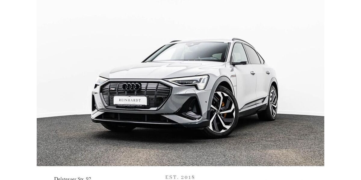 Audi e-tron 160.592 km 30.975 &euro; Hagen 58091
