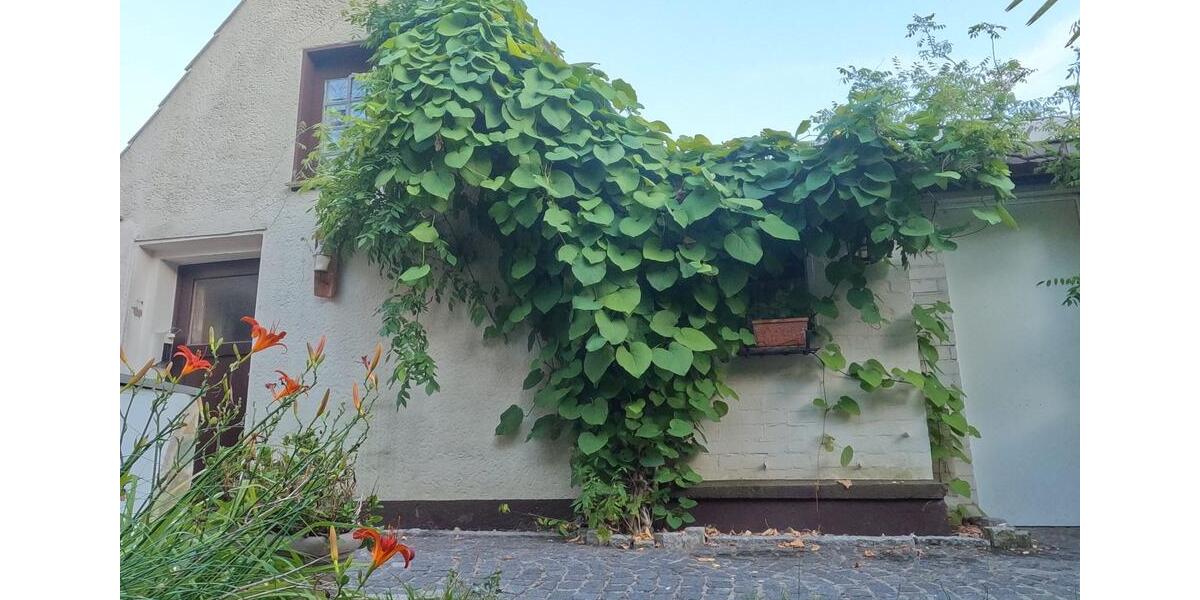 Doppelhaushälfte Duisburg Rheinhausen - 6 Zimmer, 120 m&sup2;, 420.000&euro; | Angebot:27217225