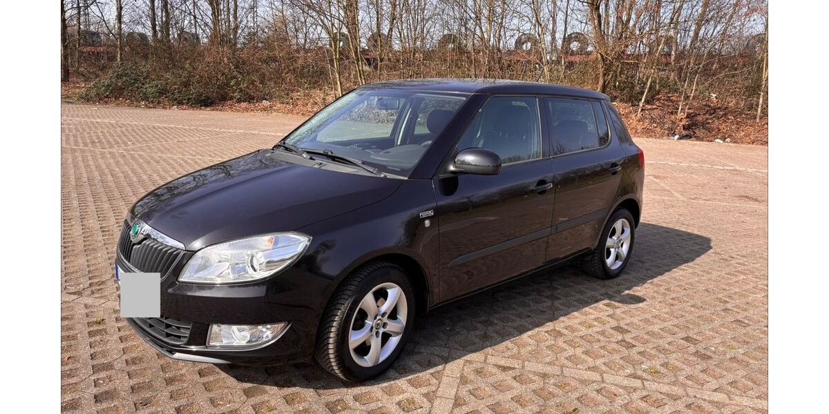 Skoda Fabia 154.500 km 4.600 &euro; Duisburg 47229