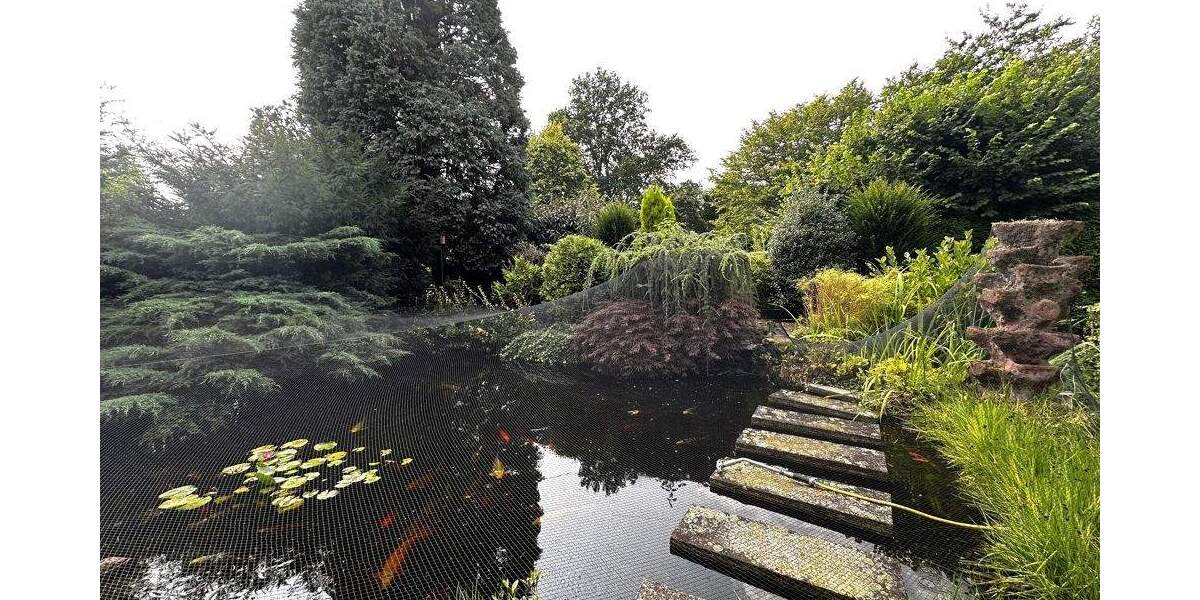 Mehrfamilienhaus, Wohnhaus Gelsenkirchen Horst - 799.000&euro; | Angebot:25779528