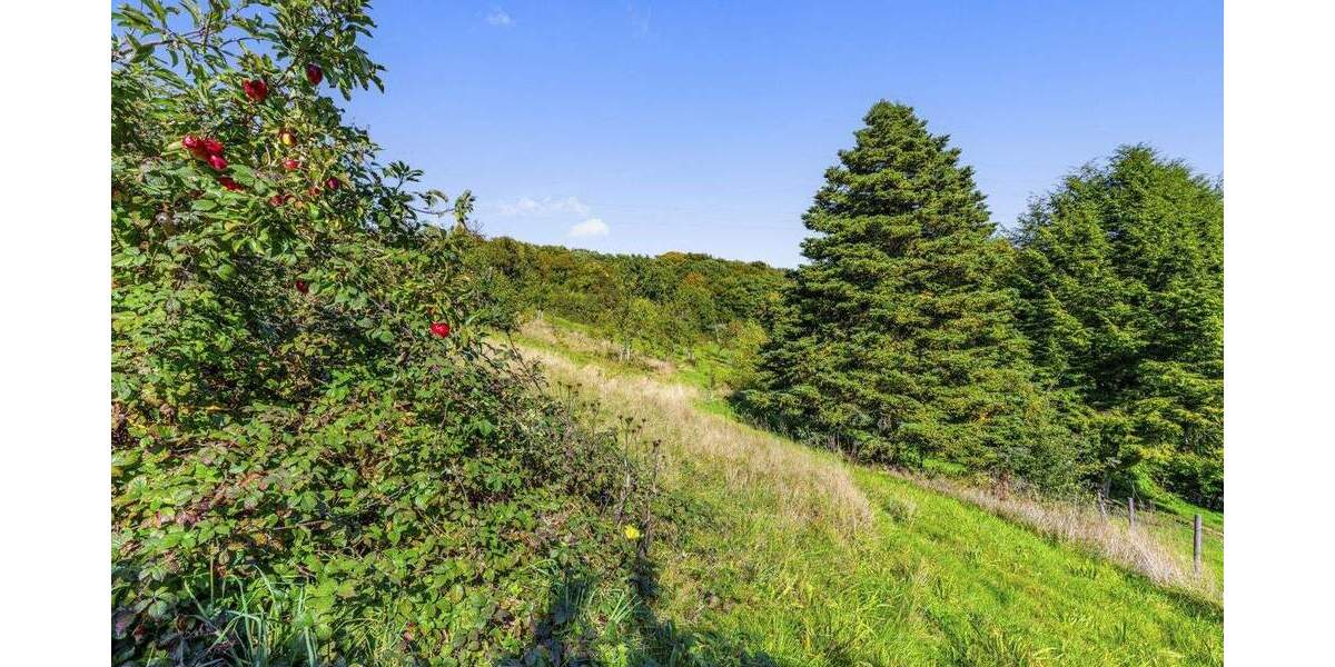 Einfamilienhaus Remscheid Lüttringhausen - 7 Zimmer, 230 m&sup2;, 576.000&euro; | Angebot:25862313