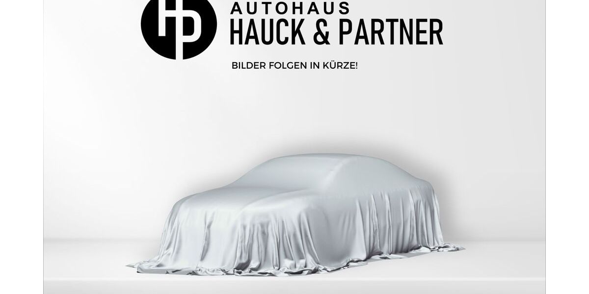 Seat Leon 172.500 km 15.990 &euro; Burscheid 51399