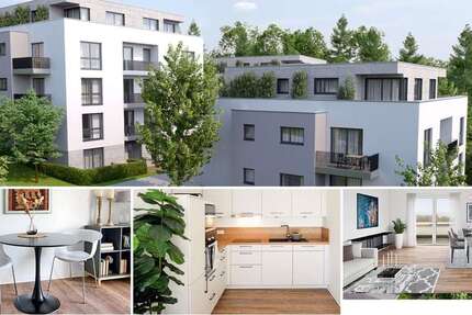 Wohnung Wuppertal - Barmen Barmen - 2 Zimmer, 62 m&sup2;, 910&euro; | Angebot:18060637